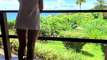 Play Honeymoon luxury paradise hotel window fuck - projectfundiary